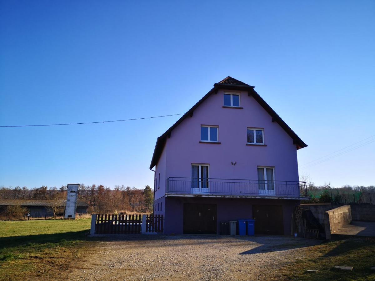 A L'Oree Du Bois Romanswiller Buitenkant foto