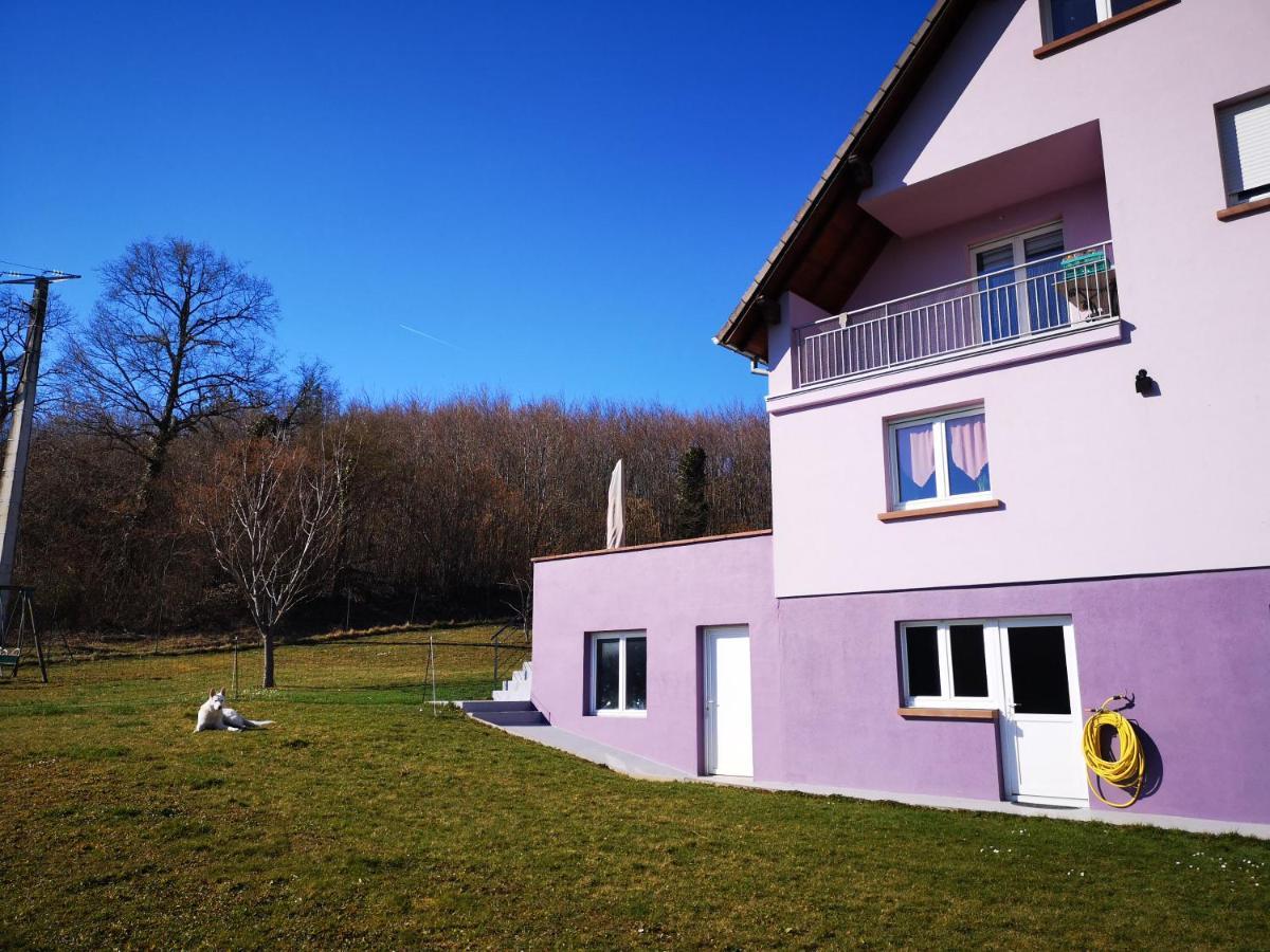 A L'Oree Du Bois Romanswiller Buitenkant foto